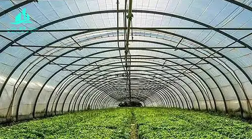 greenhouse roof sheets